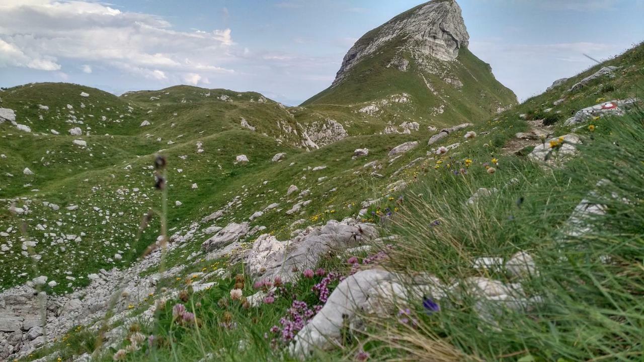 Apartments Durmitor Žabljak Exterior foto
